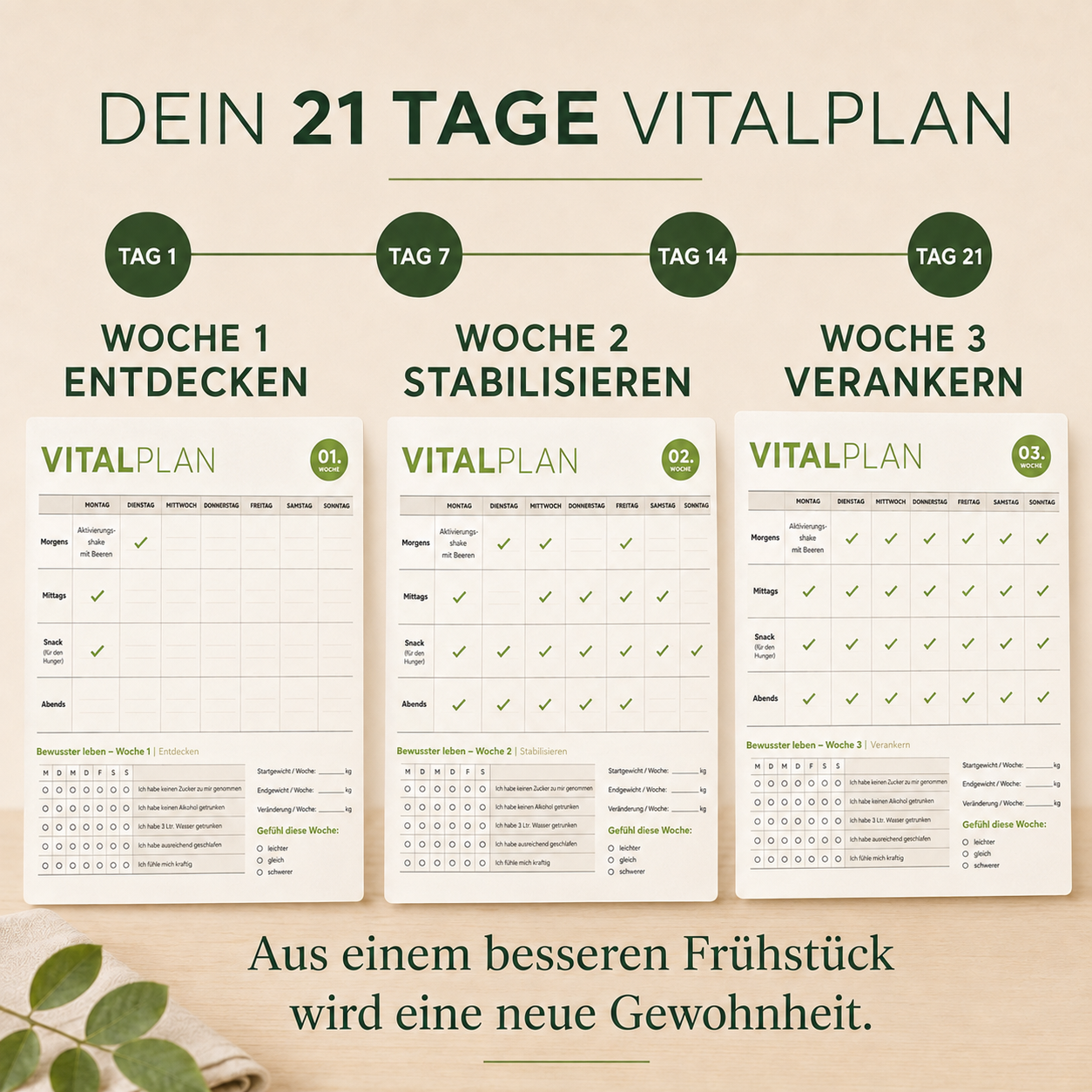 Vitalbox – 21 Tage Abnehm-Programm mit 8x Fitness Weltmeister Patrick Heisel