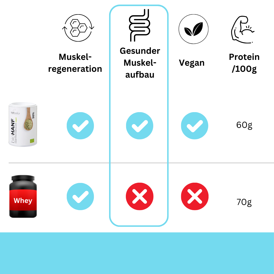 High-Protein Sportler Bundle